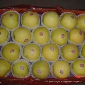 2015 Nouvelle exportation de récolte Standerd Golden Apple